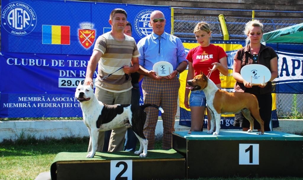 Paco Zanoia at Sibiu