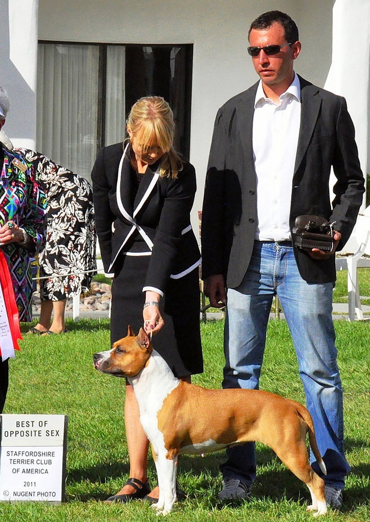 Buffy - De Paco X-Z Wild Belle Bolt