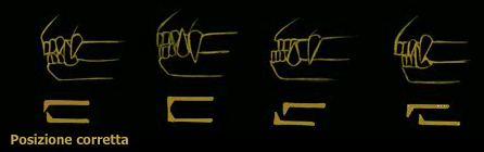 Corretta dentatura e morso nell'amstaff