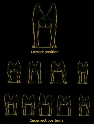 Correct Am Staff position