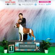 Gus podio WDS 2018