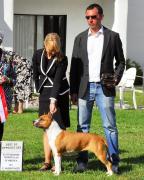 Buffy - De Paco XZ Wild Belle Bolt