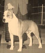 Ch. De Paco XZ Red Rascal